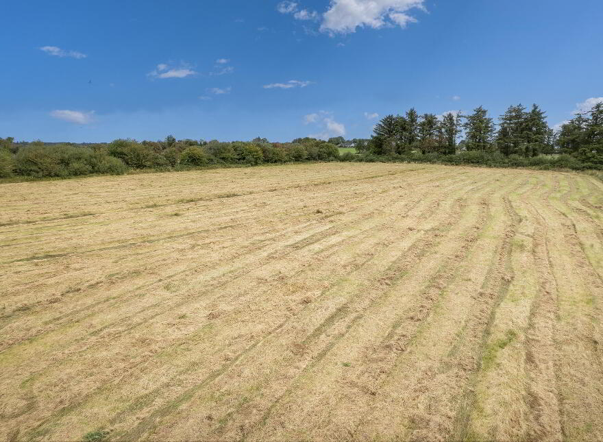Rathmore, Carrigaline