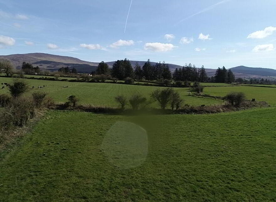 Knockboy, Ballinamult