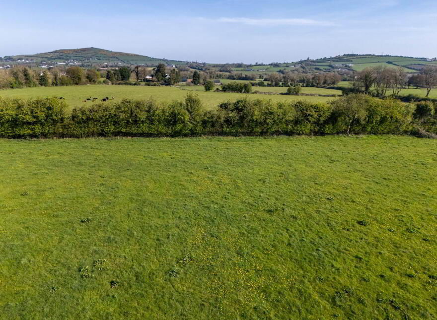 Down, Daingean