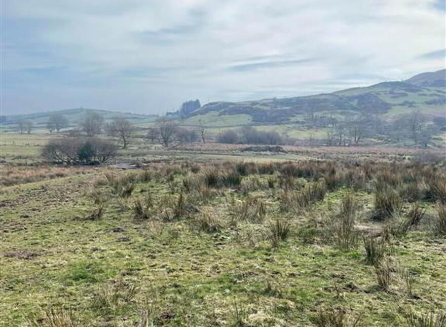 104 Drumnaquoile Road, Ballynahinch, BT24 8QS