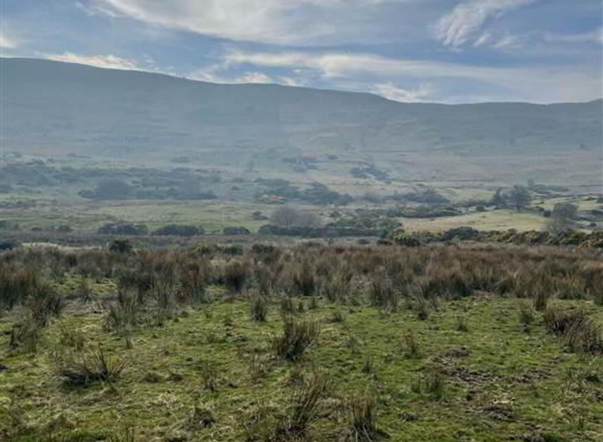 104 Drumnaquoile Road, Ballynahinch, BT24 8QS