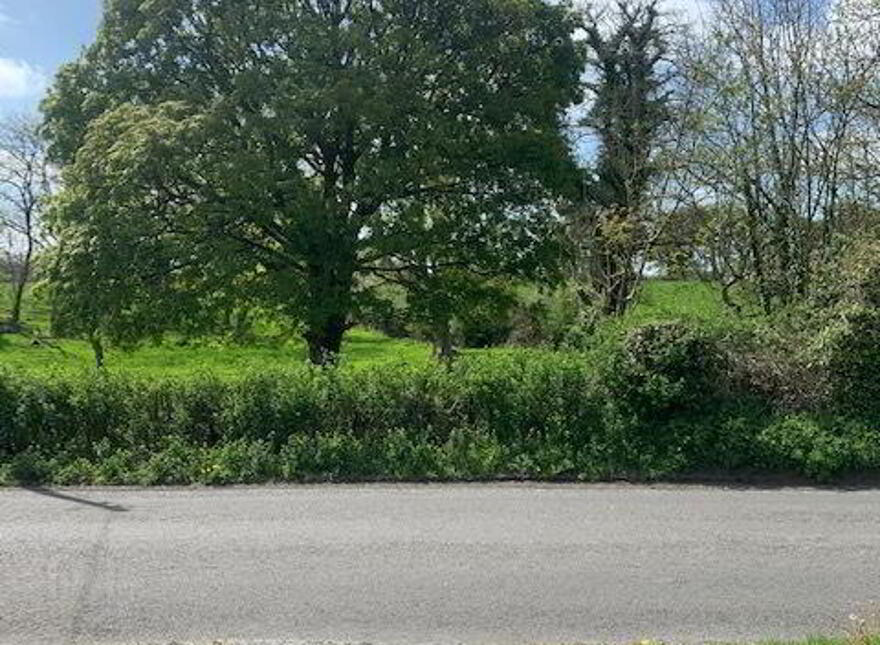 Corbally, Quin