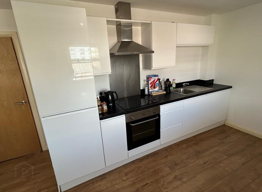 Apt 9, 44 Ulsterville Avenue, Belfast, BT9 7AQ