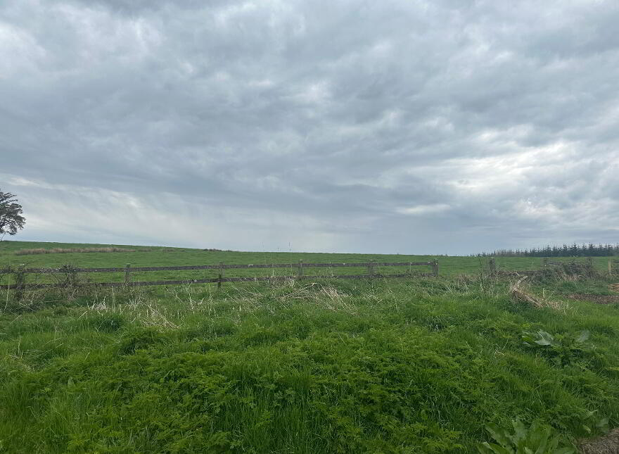 Circa 23 Acres, 9.31 Hectares At Burnchurch, Graystown, Killenaule, E41PA44