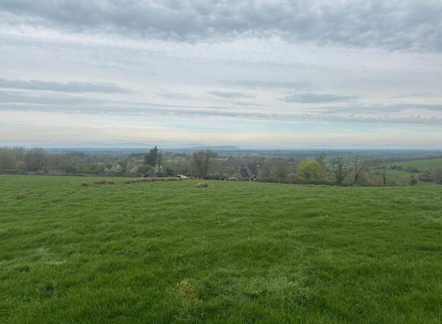 Circa 23 Acres, 9.31 Hectares At Burnchurch, Graystown, Killenaule, E41PA44