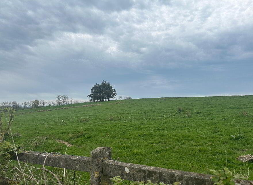 Circa 23 Acres, 9.31 Hectares At Burnchurch, Graystown, Killenaule, E41PA44