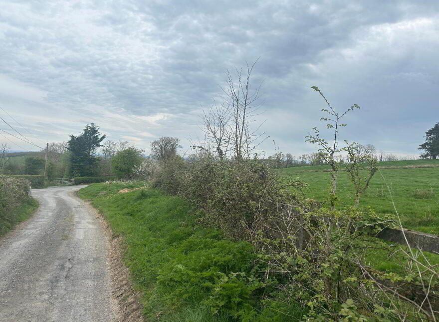 Circa 23 Acres, 9.31 Hectares At Burnchurch, Graystown, Killenaule, E41PA44