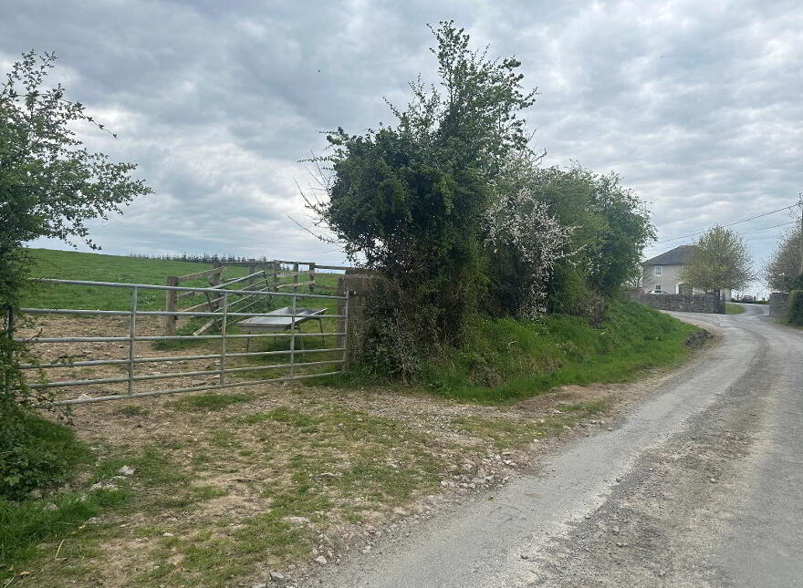 Circa 23 Acres, 9.31 Hectares At Burnchurch, Graystown, Killenaule, E41PA44