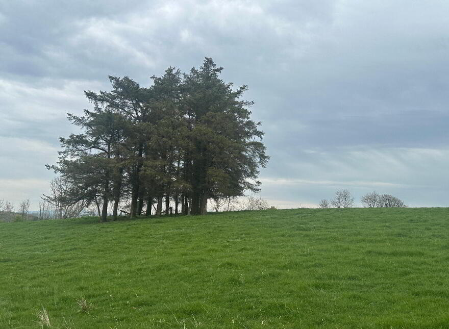 Circa 23 Acres, 9.31 Hectares At Burnchurch, Graystown, Killenaule, E41PA44