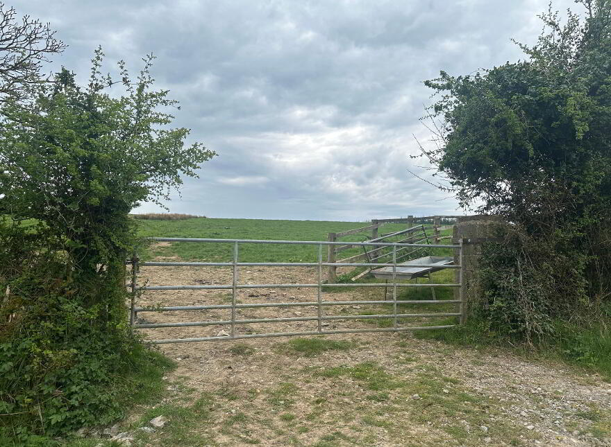 Circa 23 Acres, 9.31 Hectares At Burnchurch, Graystown, Killenaule, E41PA44