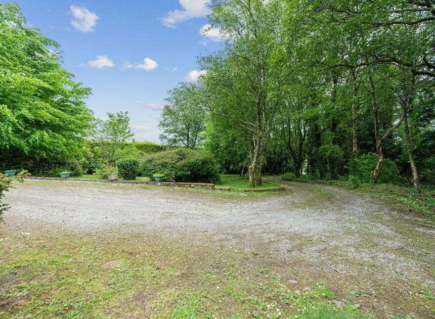 Gortnagraiga, Mallow
