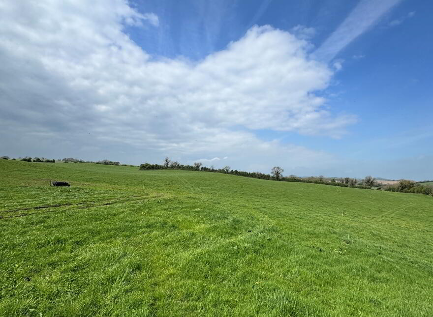 Stonetown Lower, Rosslough, Louth Village