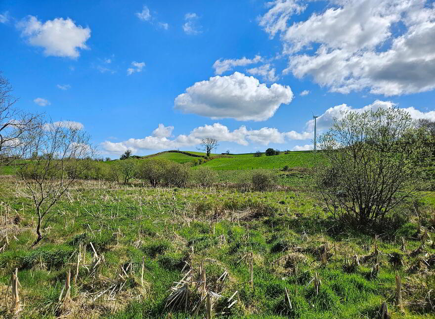 Building Site, Gall Bog Road, Banbridge, BT32 3SY