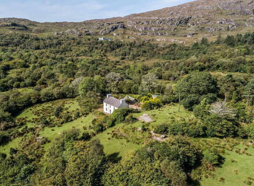 Lickeen, Glengarriff, P75Y104