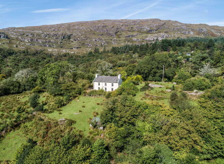 Lickeen, Glengarriff, P75Y104