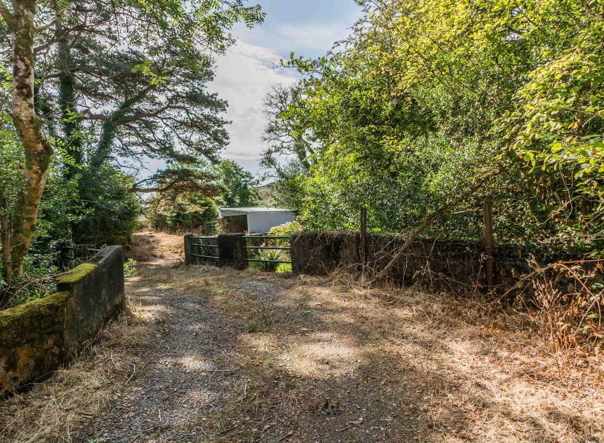 Lickeen, Glengarriff, P75Y104