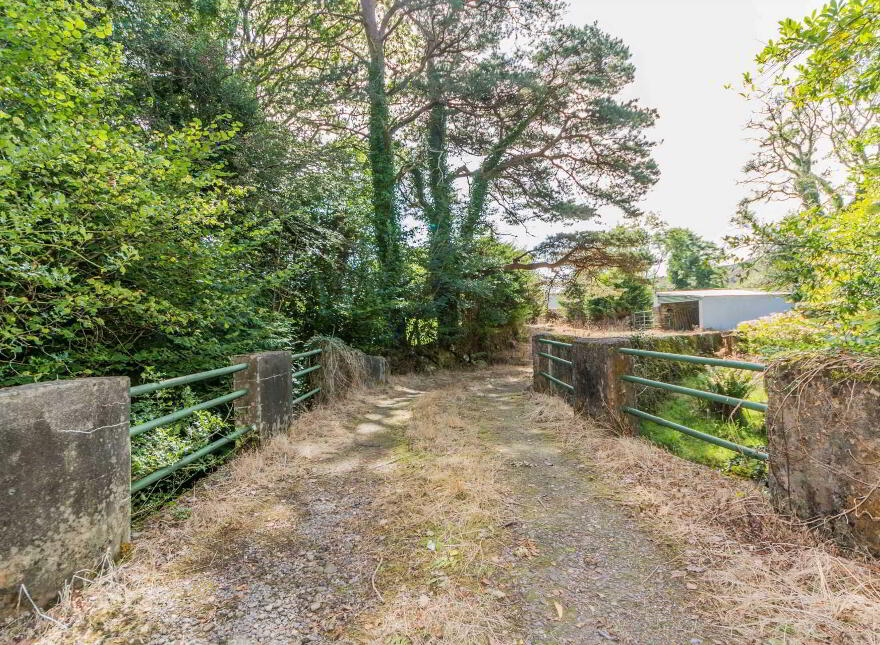Lickeen, Glengarriff, P75Y104