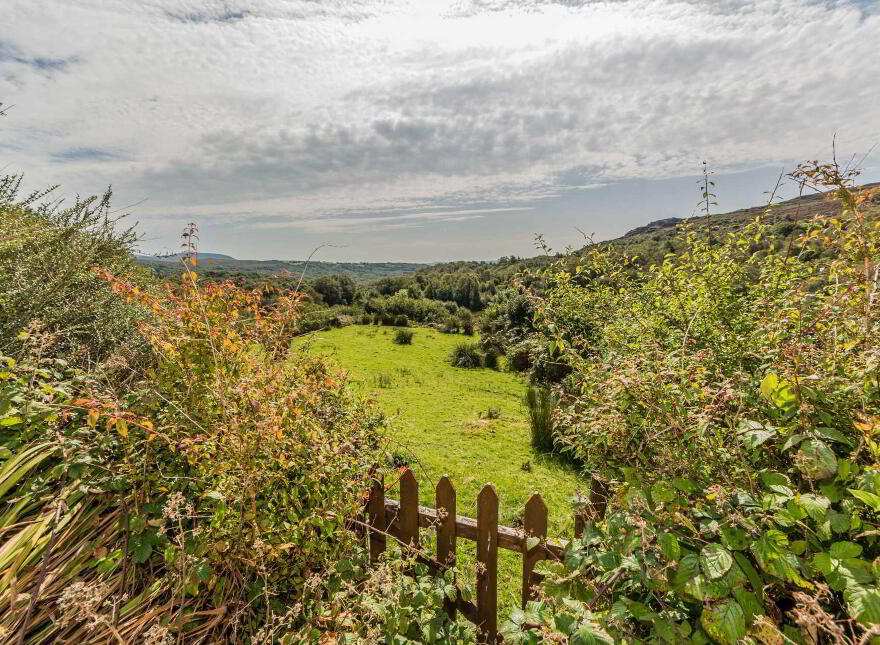 Lickeen, Glengarriff, P75Y104
