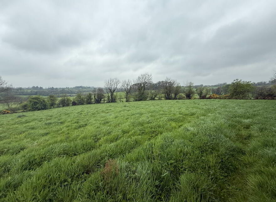 C.23 Ac At Dromore Stranooden, Stranooden