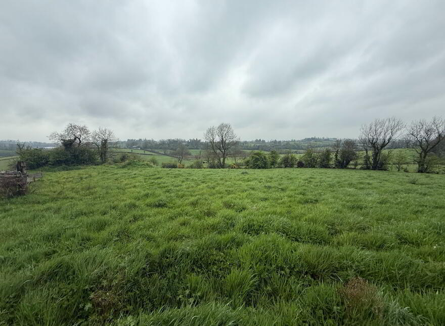 C.23 Ac At Dromore Stranooden, Stranooden