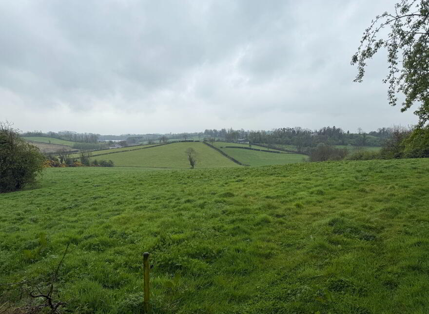 C.23 Ac At Dromore Stranooden, Stranooden
