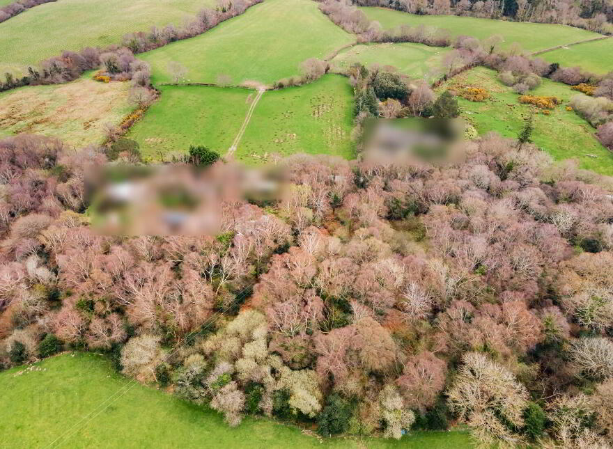 Bahana, Enniskerry