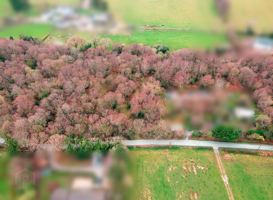 Bahana, Enniskerry
