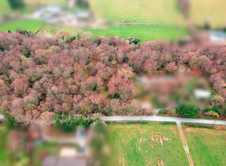 Bahana, Enniskerry