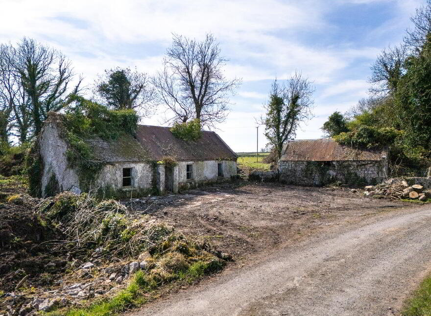 Corramagrine, Tarmonbarry, Whitehall, N39 photo