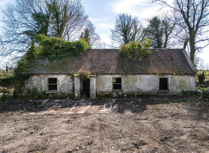 Corramagrine, Tarmonbarry, Whitehall, N39