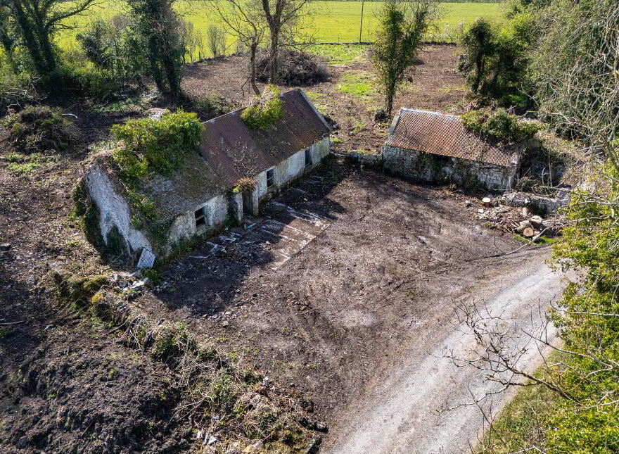 Corramagrine, Tarmonbarry, Whitehall, N39
