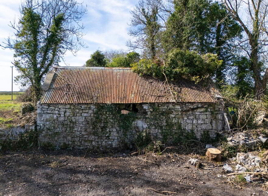 Corramagrine, Tarmonbarry, Whitehall, N39