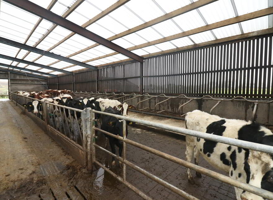 78 Church Hill Road, Bunnahone, Derrygonnelly, BT93 6BP