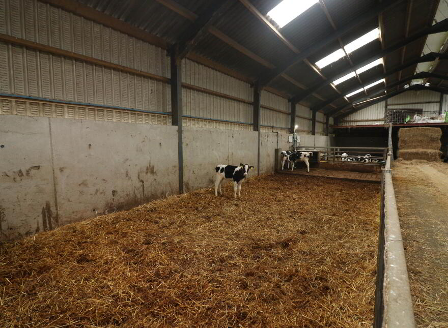 78 Church Hill Road, Bunnahone, Derrygonnelly, BT93 6BP