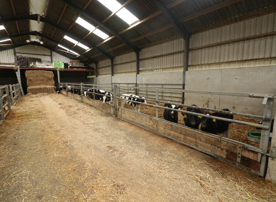 78 Church Hill Road, Bunnahone, Derrygonnelly, BT93 6BP