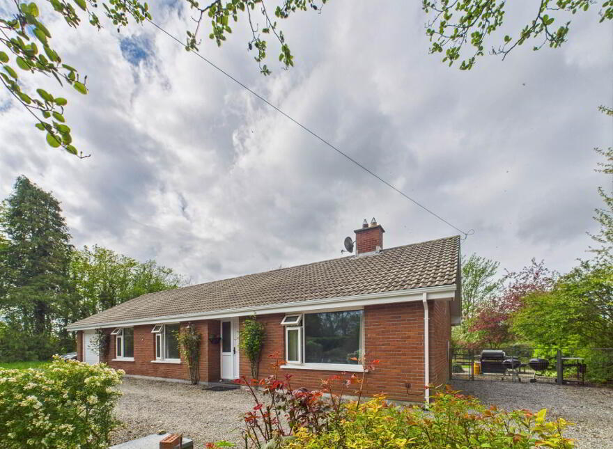 Drumquinn, Ballyvass, Kilkea, R14PX29 photo