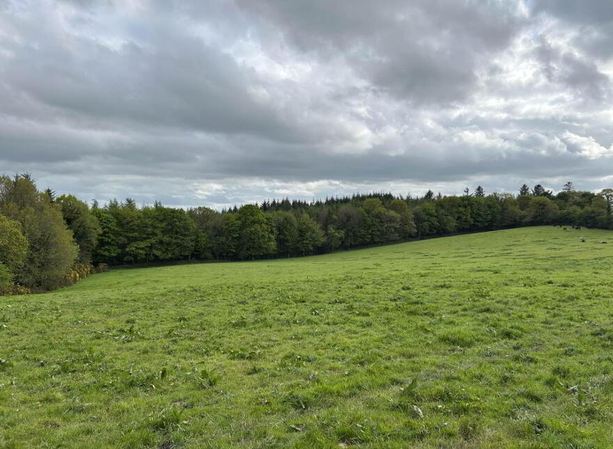 Deerpark, Mountrath