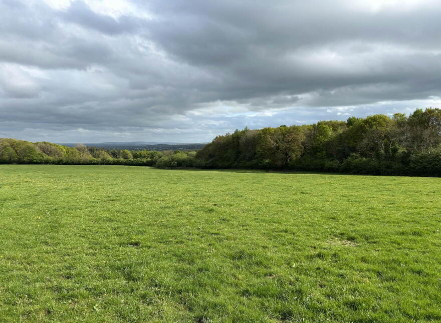 Deerpark, Mountrath