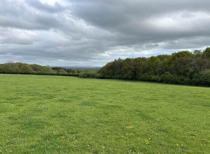 Deerpark, Mountrath