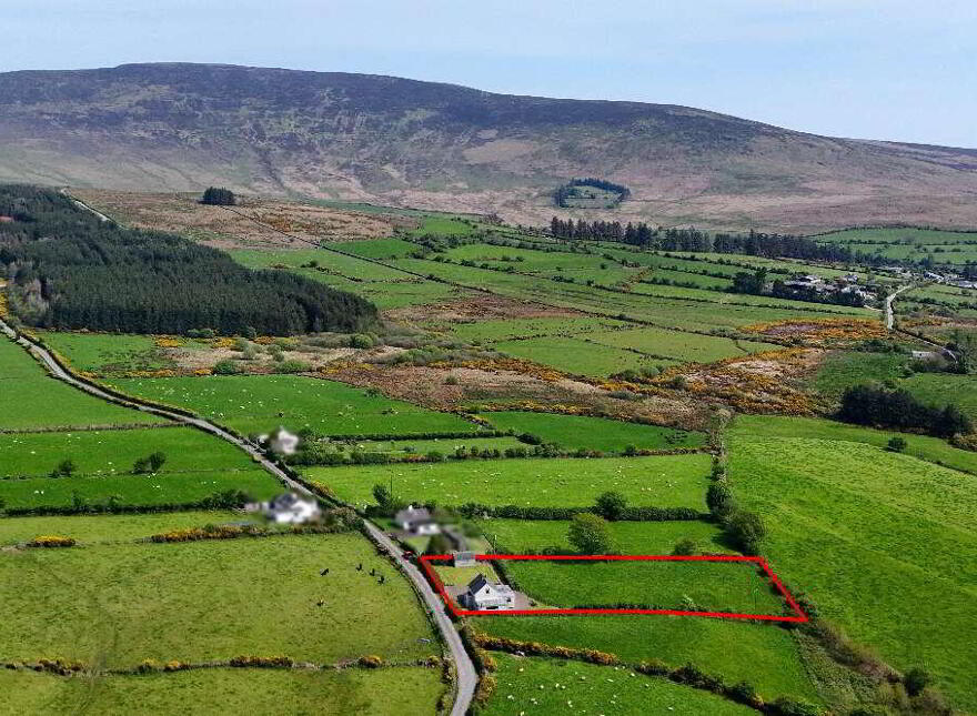 Scart, Ballinamult, E91V967 photo