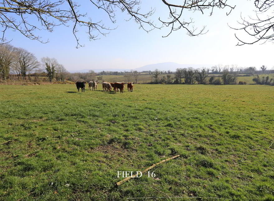 Opp.52a Killyblight Road, Burnfoot, Dungiven, BT47 5XG