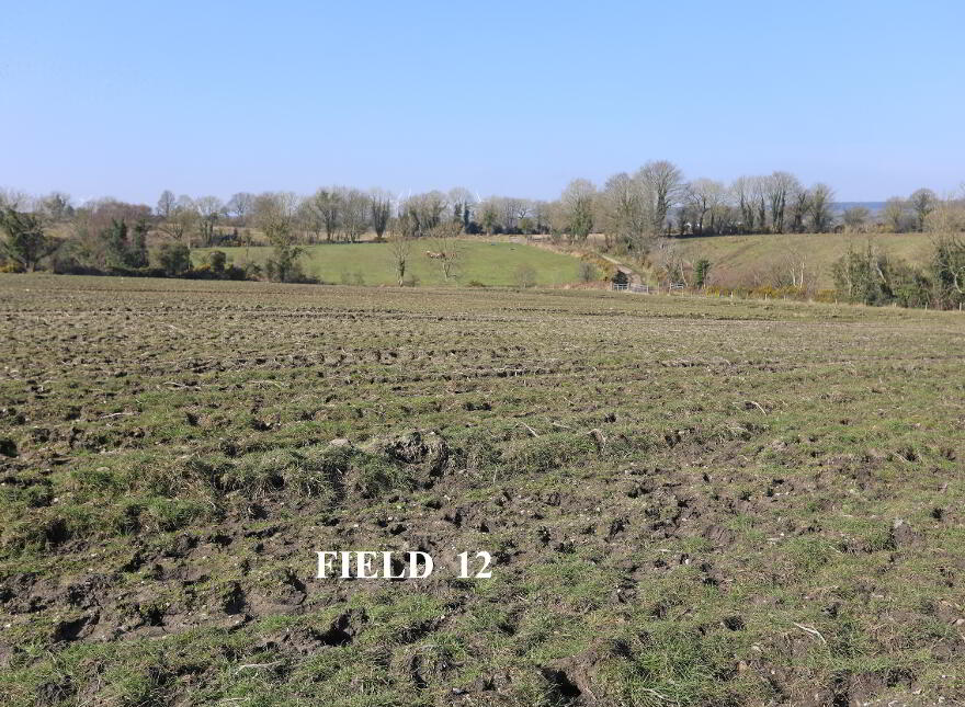 Opp.52a Killyblight Road, Burnfoot, Dungiven, BT47 5XG