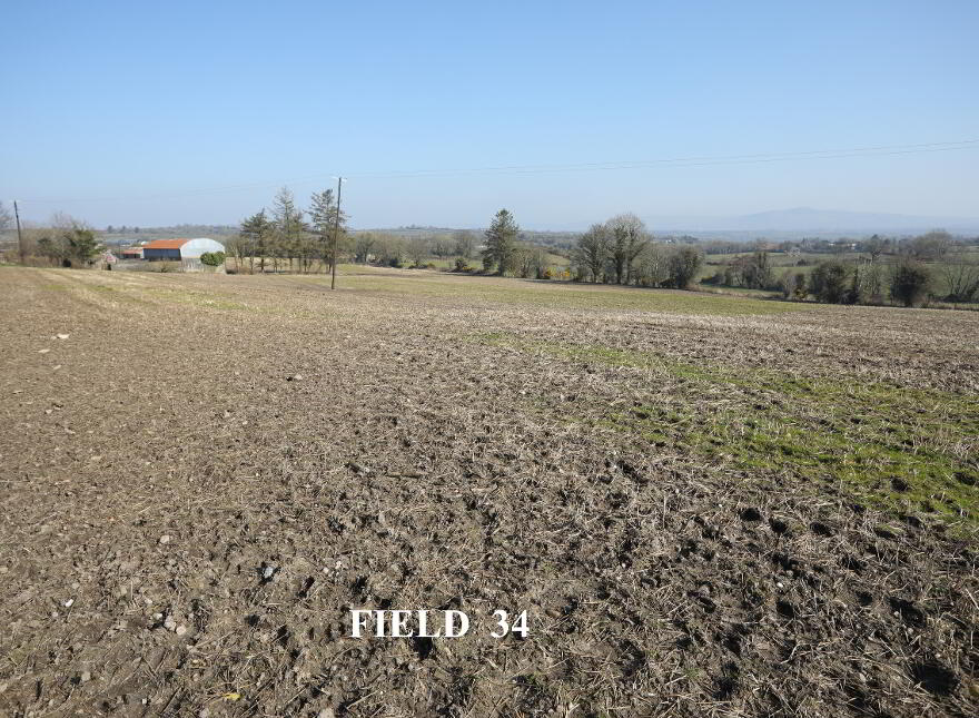 Opp.52a Killyblight Road, Burnfoot, Dungiven, BT47 5XG