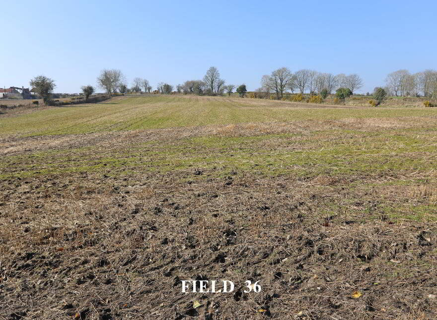 Opp.52a Killyblight Road, Burnfoot, Dungiven, BT47 5XG