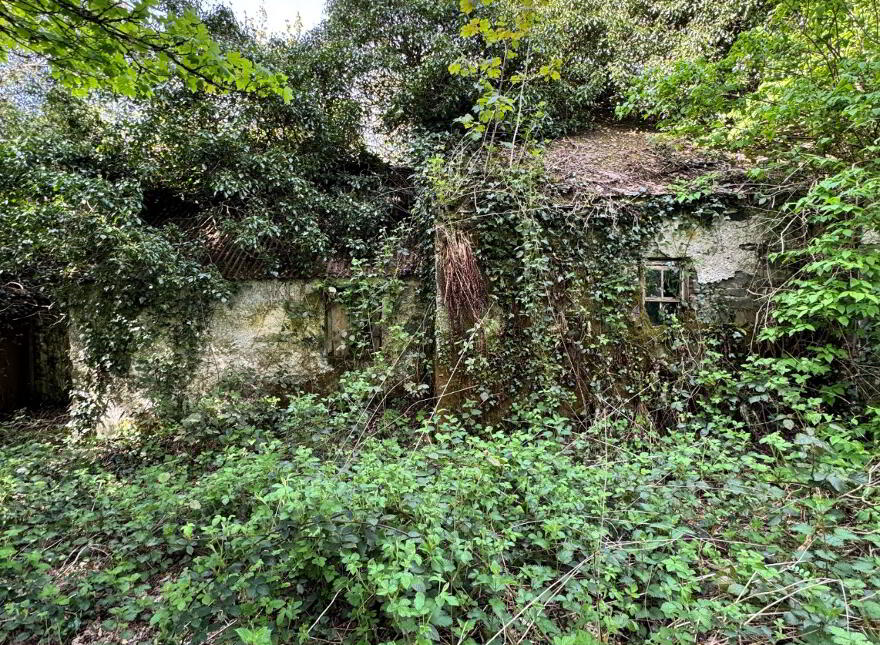 Coohey, Ballybay photo