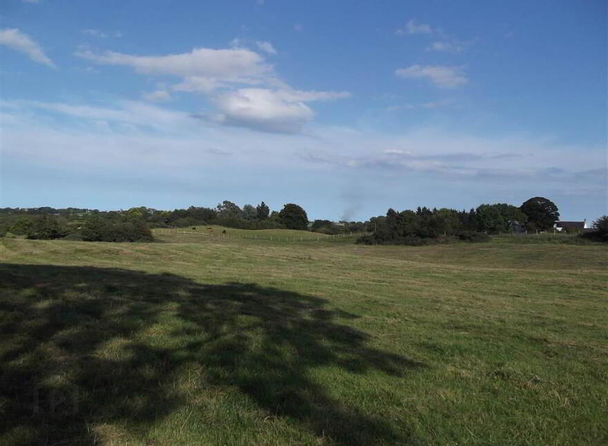 22 Acres At, The Brae, Ballygowan, BT23 5TJ