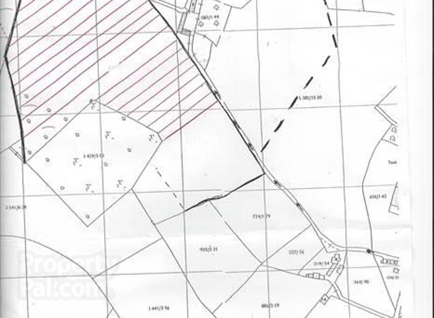 22 Acres At, The Brae, Ballygowan, BT23 5TJ photo