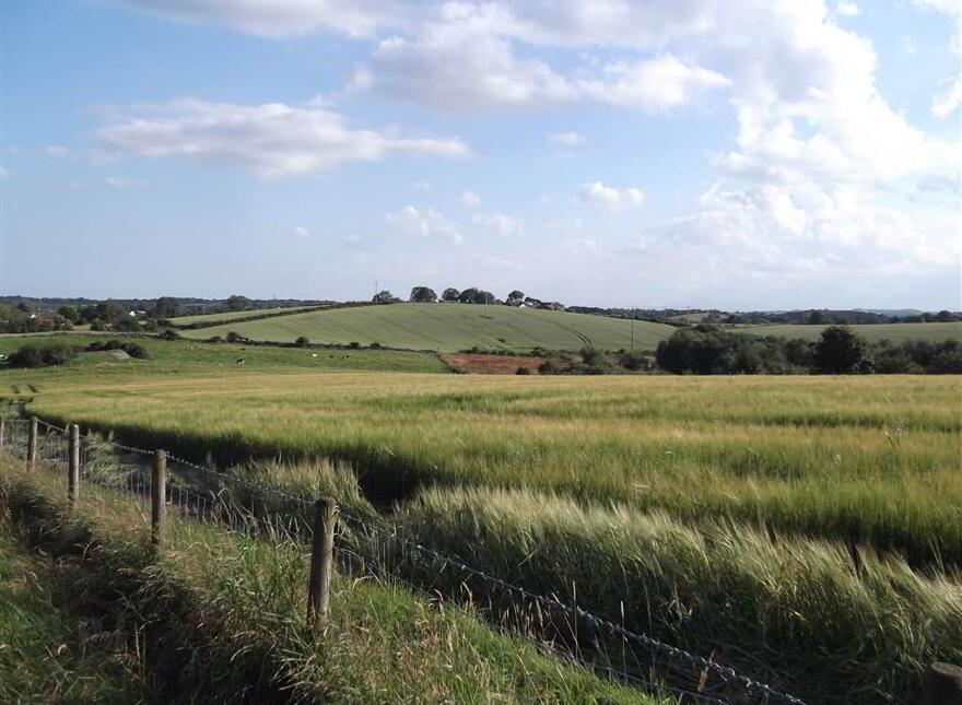 22 Acres At, The Brae, Ballygowan, BT23 5TJ