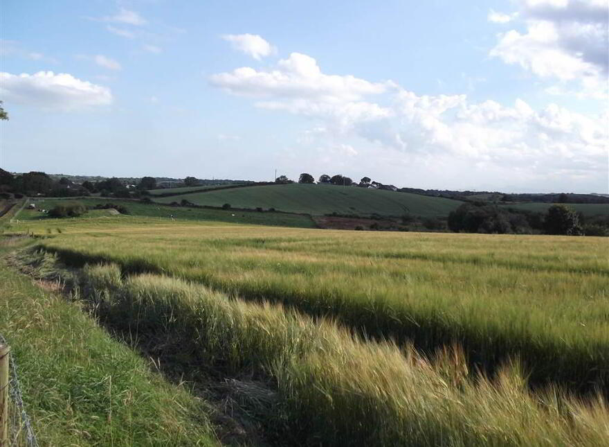 22 Acres At, The Brae, Ballygowan, BT23 5TJ
