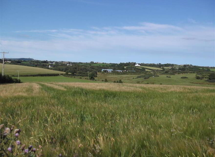 22 Acres At, The Brae, Ballygowan, BT23 5TJ